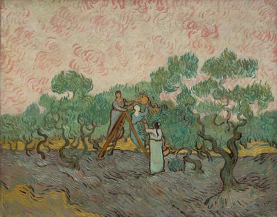 Women Picking Olives, 1889 by Vincent van Gogh