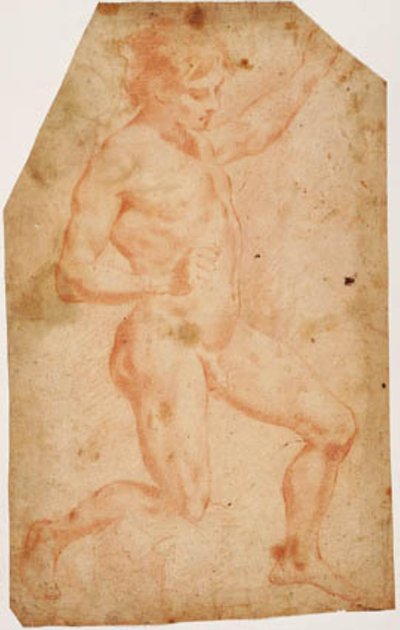 Young male nude kneeling to the right by Vincenzo Dandini