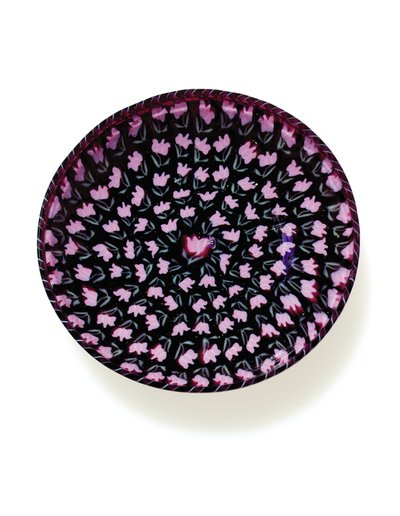 A Tulip 
