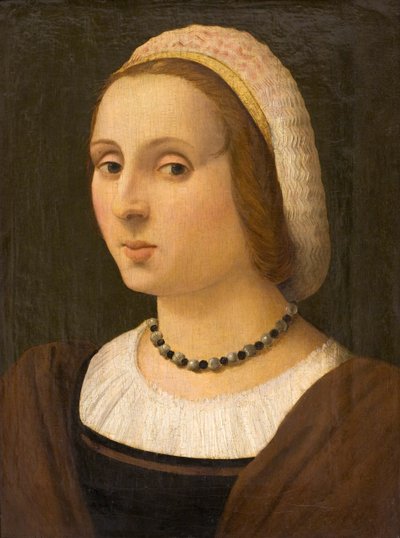 Portrait of a Lady by Vincenzo Tamagni