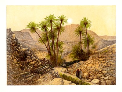 The Desert of Sinai, Egypt, c1870 by W. Dickens