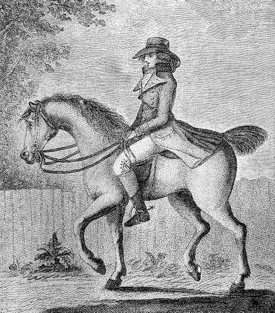 The Mistaken Notion by W. Dickinson