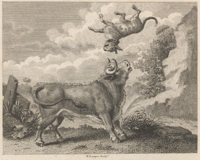 The Bull and the Mastiff by W. Grainger
