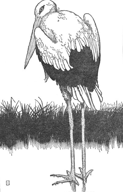 Father-Stork, c1930 by William Heath Robinson