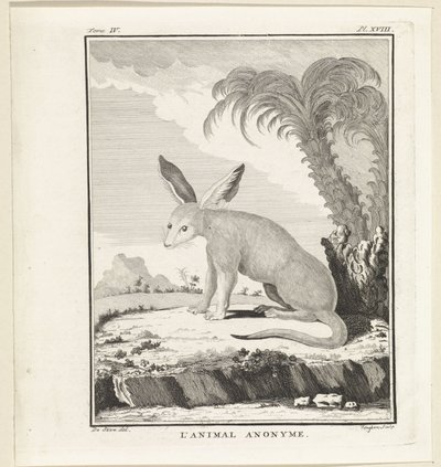 Unknown animal by W. Tringham