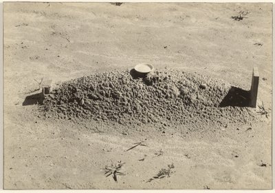 A Baptist Grave, Hale County, Alabama by Walker Evans