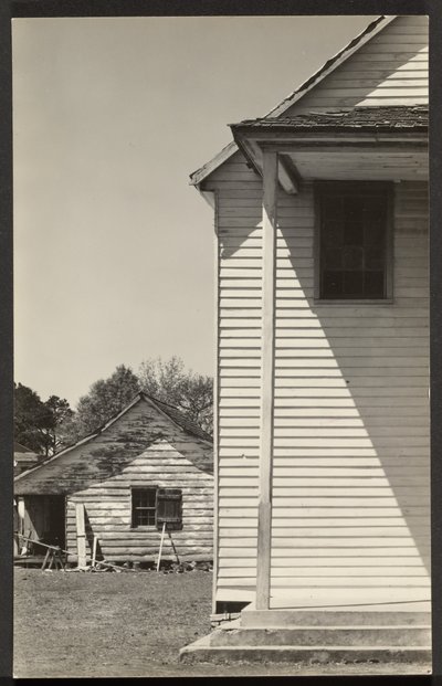 Detail of Negro