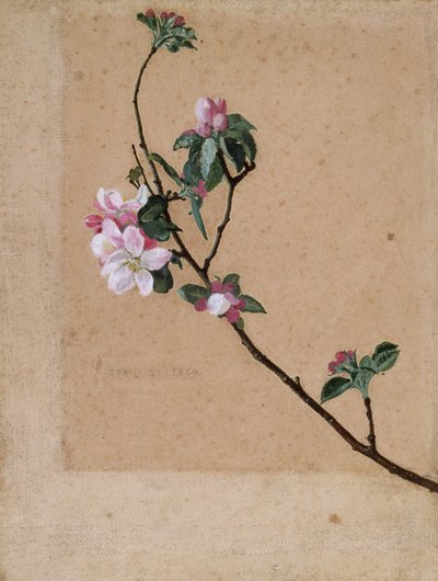Apple Blossom by Walter Crane