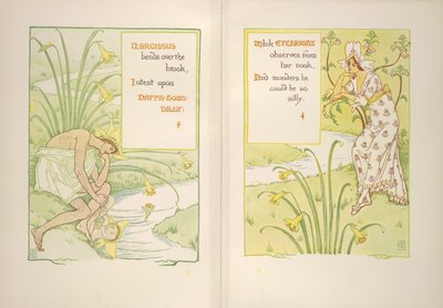 Narcissus and eyebright by Walter Crane