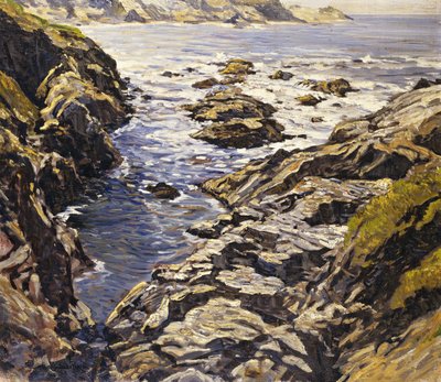 Rocky Coast by Walter Elmer Schofield