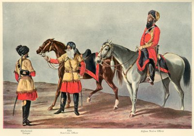 The Second Punjab Cavalry, 1901 by Walter Fane