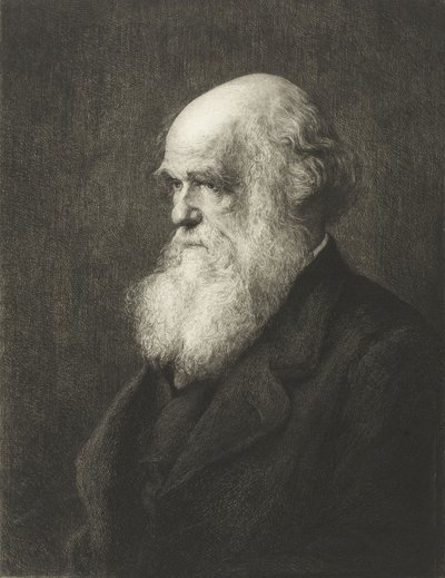 Charles Robert Darwin by Walter William (after) Ouless