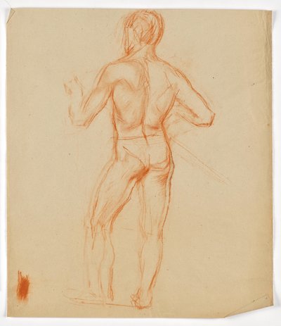 Male Nude from the Back by Walther Gamerith