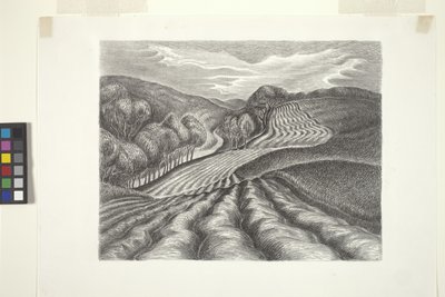 Ploughed Fields by Wanda Gág