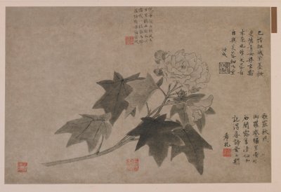 Hibiscus by Wang Yuan