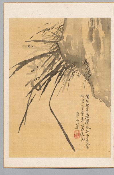 Orchid by Watanabe Kazan