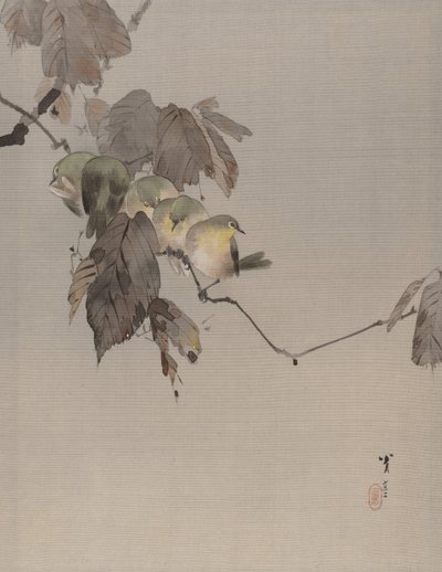 Birds on a Branch by Watanabe Seitei