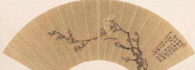 Plum Blossoms by Wen Zhi