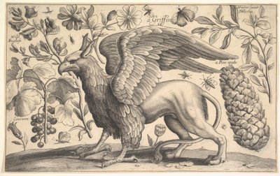 A Griffin by Wenceslaus Hollar