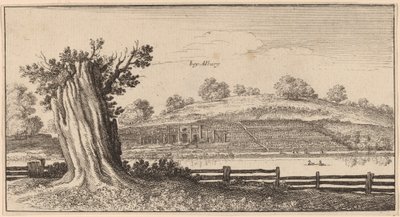 Albury by Wenceslaus Hollar