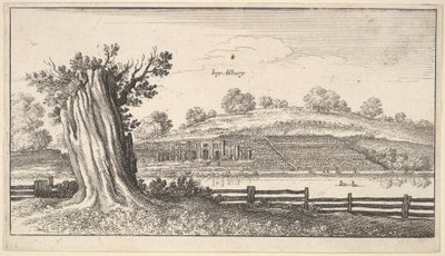 Albury with Tree-Stump in Foreground by Wenceslaus Hollar