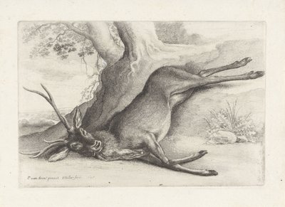 Shot Deer, Hunting, Hunting Dogs and Game (series title) by Wenceslaus Hollar