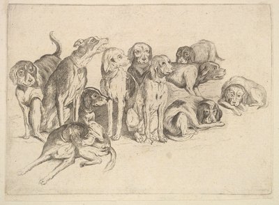 Eleven Hounds by Wenceslaus Hollar