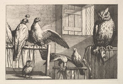 Hawks and owls, 1625-77 by Wenceslaus Hollar