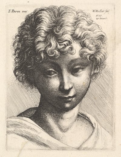 Head of a Young Girl, 1645 by Wenceslaus Hollar