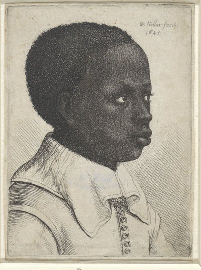 Portrait of a Black Boy, 1645 by Wenceslaus Hollar
