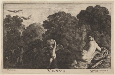 Venus by Wenceslaus Hollar