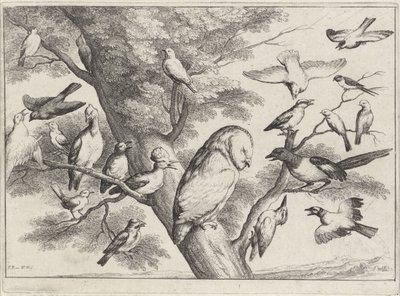 Birds in a Tree by Wenceslaus Hollar