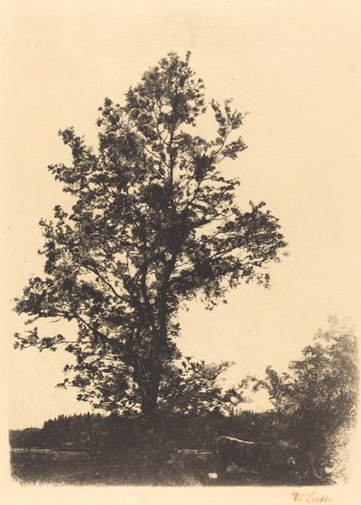 The Large Tree by Wilhelm Maria Hubertus Leibl