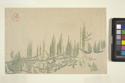 Wisteria, c.1908 by Wilhelmina Seegmiller