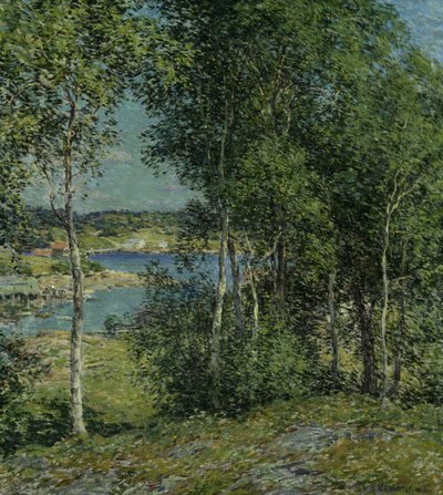 A Family of Birches by Willard Leroy Metcalf