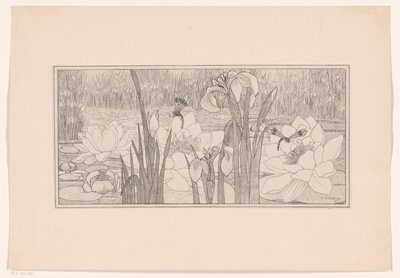 Water Lilies by Willem C. Scherjon