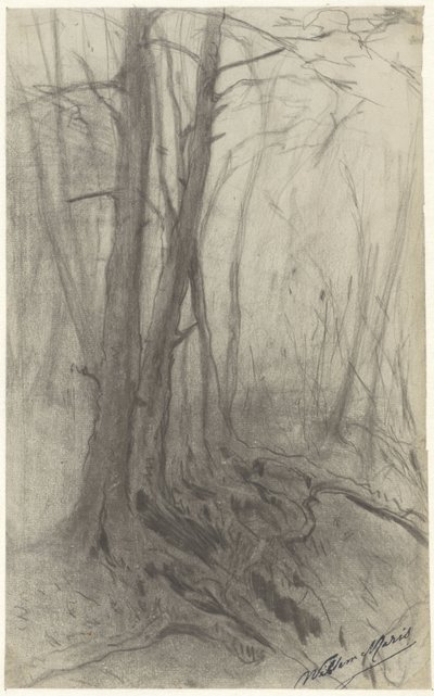 Trees in a Forest by Willem Maris