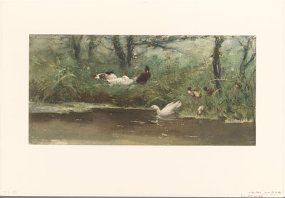 Ducks by the Ditch by Willem Maris