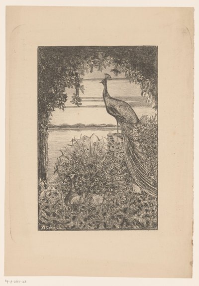 Sitting and Standing Peacock in Nature by Willem Scherjon