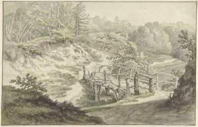 Dune Landscape with Wooden Bridge by Willem Uppink