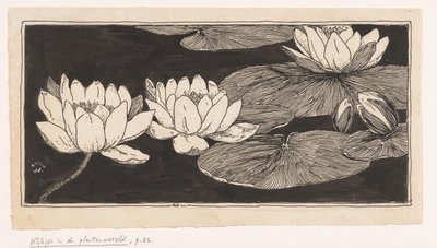 Water Lilies by Ludwig Willem Reymert Wenckebach