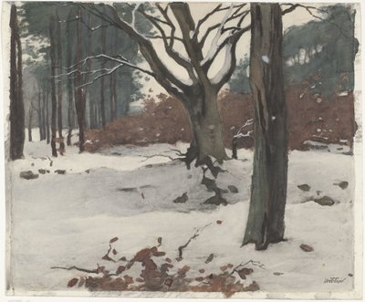 Trees in the Snow by Willem Arnoldus Witsen