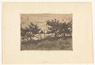 Trees on a Hill by Willem Arnoldus Witsen