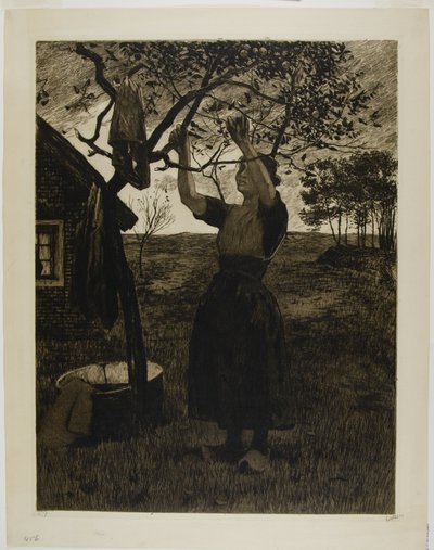 The Apple Tree by Willem Arnoldus Witsen