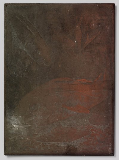 Fish in an Aquarium by Willem Arnoldus Witsen