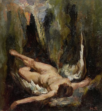 The Fallen Angel by Willem de Zwart