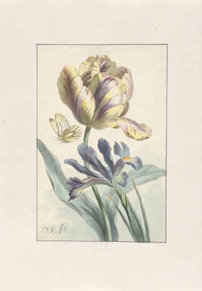 Tulip and Iris by Willem van Leen