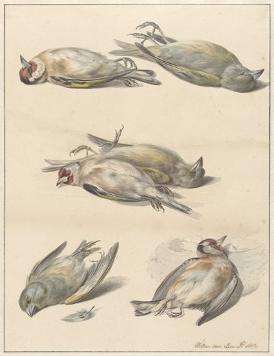 Six Dead Birds by Willem van Leen