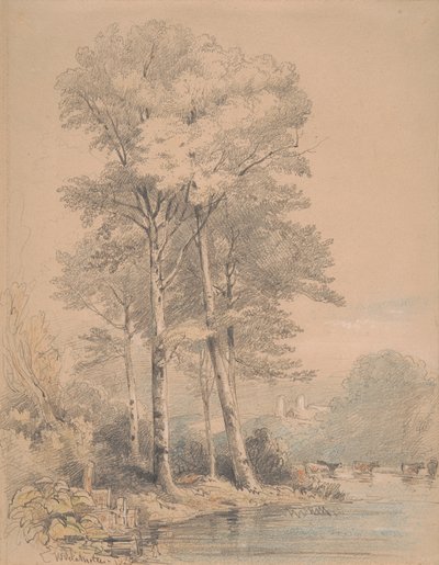 Llandovery Castle, South Wales by William Alfred Delamotte