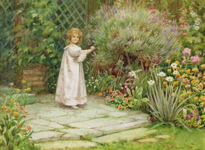 My Garden by William Ashburner